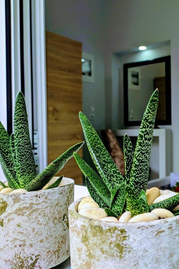 Gloria Apartment Zakintos Dış mekan fotoğraf
